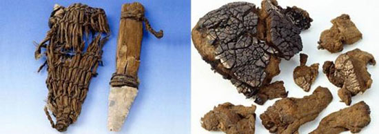 Picture 3 of 5000-year-old Otzi mummy and mysterious curse