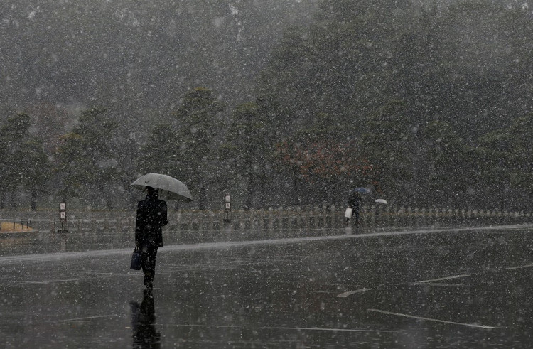 Picture 7 of 54 years, snow first fell in November in Tokyo