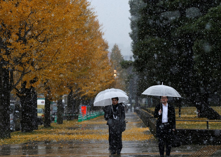 Picture 9 of 54 years, snow first fell in November in Tokyo
