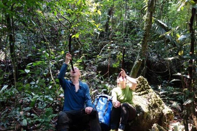 Picture 9 of 57 newly discovered caves in Quang Binh