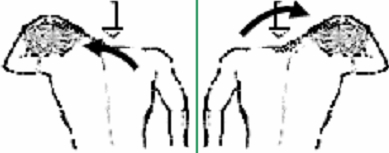 Picture 5 of 5-minute neck exercises help protect the spine