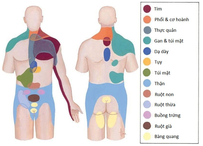 Picture 6 of 6 horror and extreme experiments that scientists have done with themselves