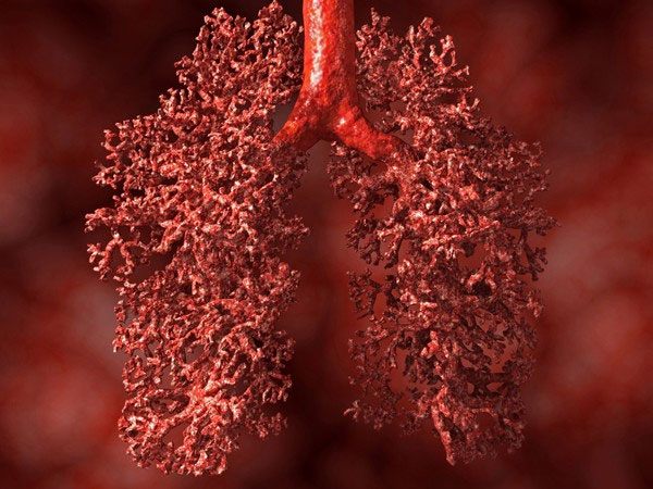 Picture 1 of 6 interesting things about the lungs not everyone knows