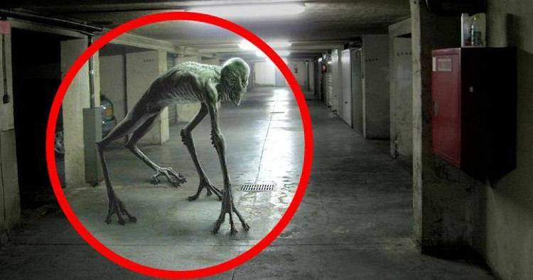 Picture 6 of 6 scientific mysteries that, despite being brainstormed in 2018, are still hard to get a satisfactory answer
