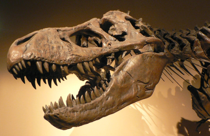 Picture 5 of 6 scientific terms ensure you are still misused in everyday life