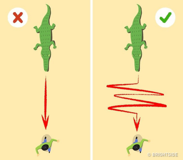 Picture 2 of 6 survival secrets can save your life every time a thousand pounds of hair hanging