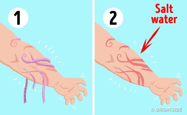 Picture 3 of 6 survival secrets can save your life every time a thousand pounds of hair hanging