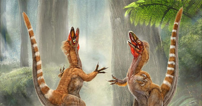 Picture 3 of 6 things you read about dinosaurs when you were young, but are no longer true