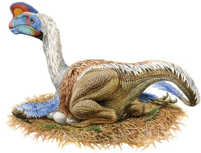 Picture 4 of 6 things you read about dinosaurs when you were young, but are no longer true
