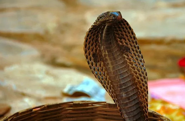 Picture 2 of 6 types of deadly pitfalls common in ancient tombs