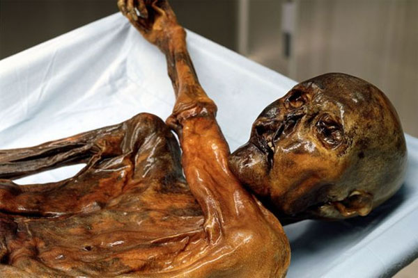 Picture 1 of 61 tattoos were found on the mummy otzi band