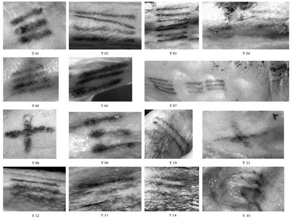Picture 3 of 61 tattoos were found on the mummy otzi band