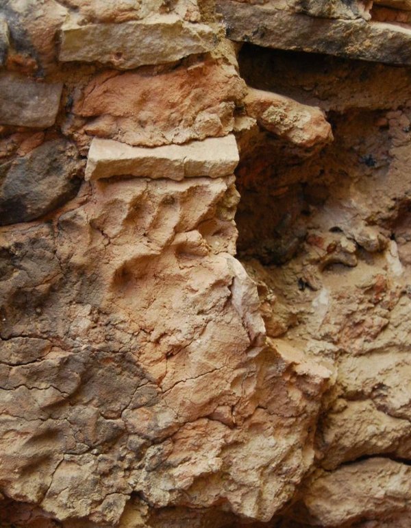 Picture 2 of 6-fingered limbs are 'fashion' in ancient America