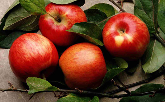 Picture 2 of 7 fiber-rich vegetables you should know