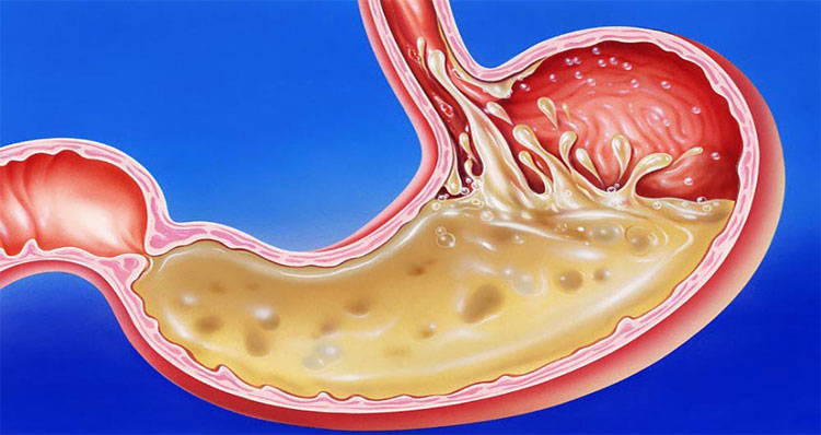 7 human organs can be removed and still survive images 2