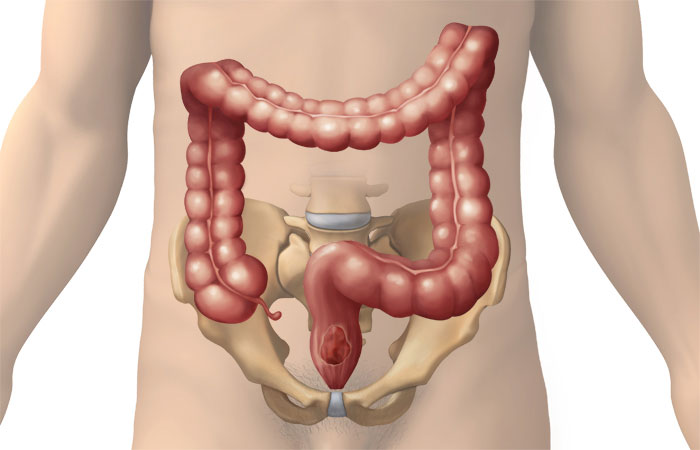 7 human organs can be removed and still survive images 6