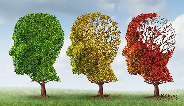 Picture 7 of 7 memorization skills that help you have intelligence