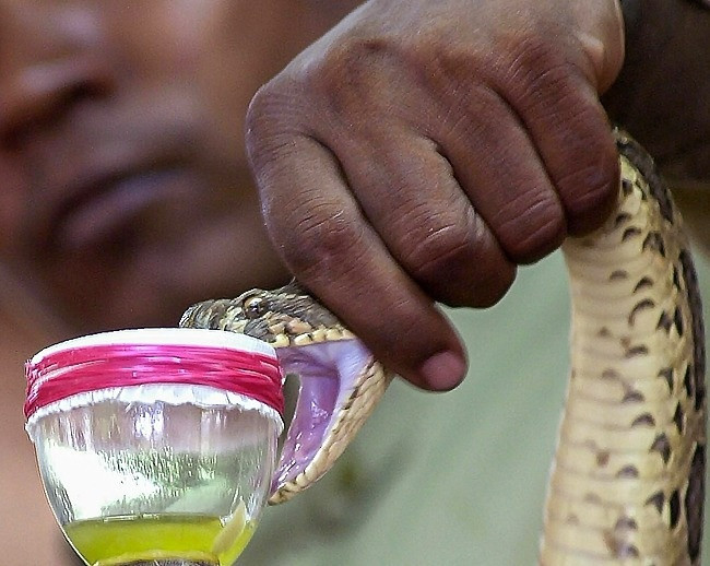 Picture 2 of 7 most expensive liquids on the planet