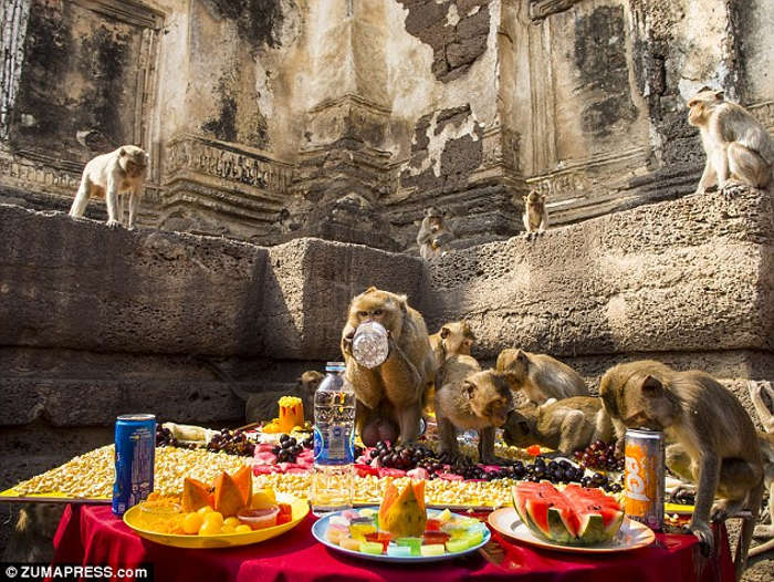 Picture 6 of 7 quirky festivals in the world