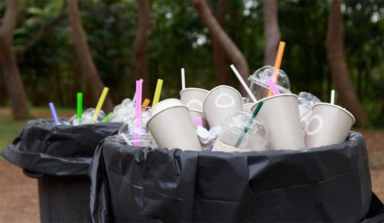 Picture 3 of 7 reasons why you want to stop using the straw immediately
