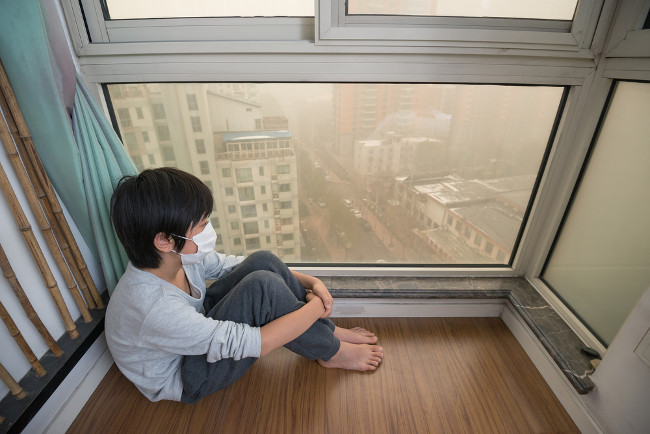 Picture 2 of 7 simple ways to reduce air pollution in your home