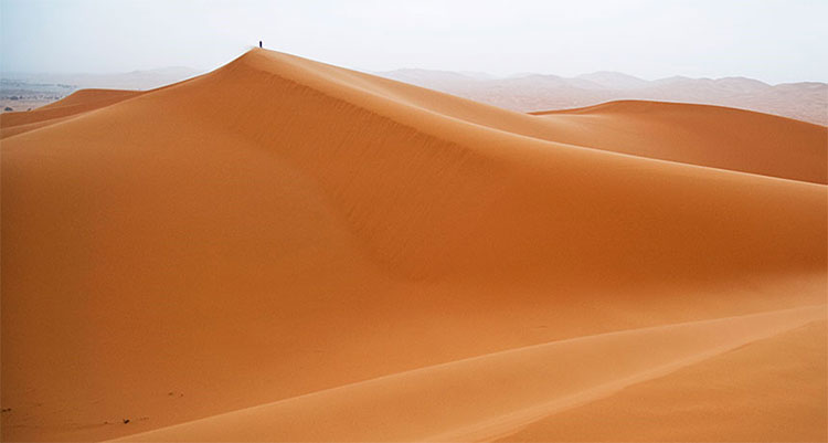 Picture 7 of 7 truths are extremely unbelievable about the world, but you are not sure