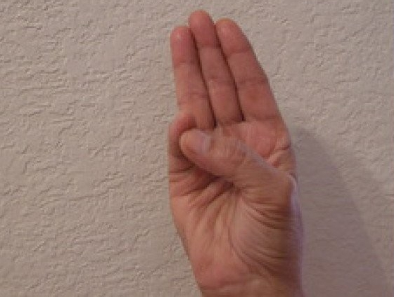 Picture 6 of 7 Yoga movements for hands