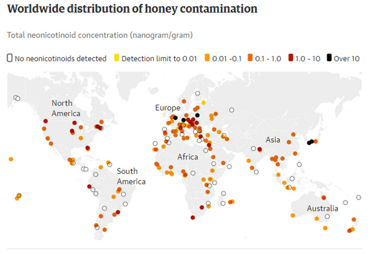 Picture 2 of 75% of honey is sampled in the world infected with pesticides
