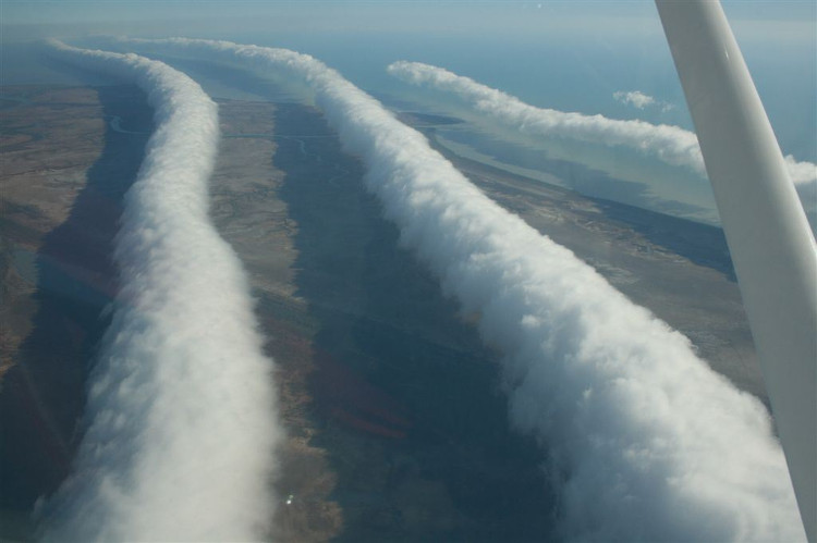 Picture 5 of 8 beautiful natural phenomena only available in Australia