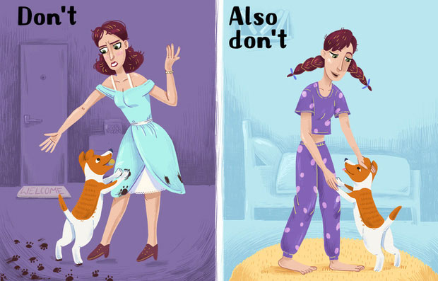 Picture 6 of 8 extremely serious mistakes that many pet owners are making without even knowing it