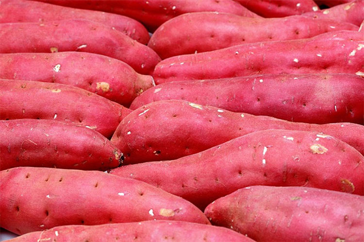 Picture 4 of 8 foods help kill cancer cells