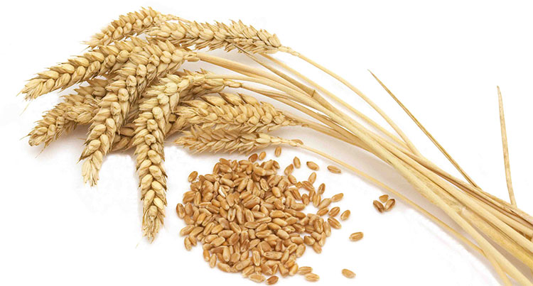 Picture 6 of 8 foods help kill cancer cells