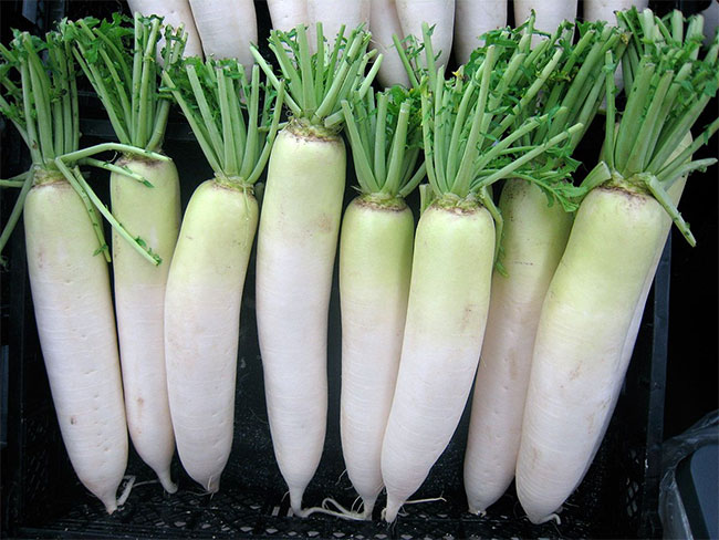 Picture 7 of 8 foods help kill cancer cells