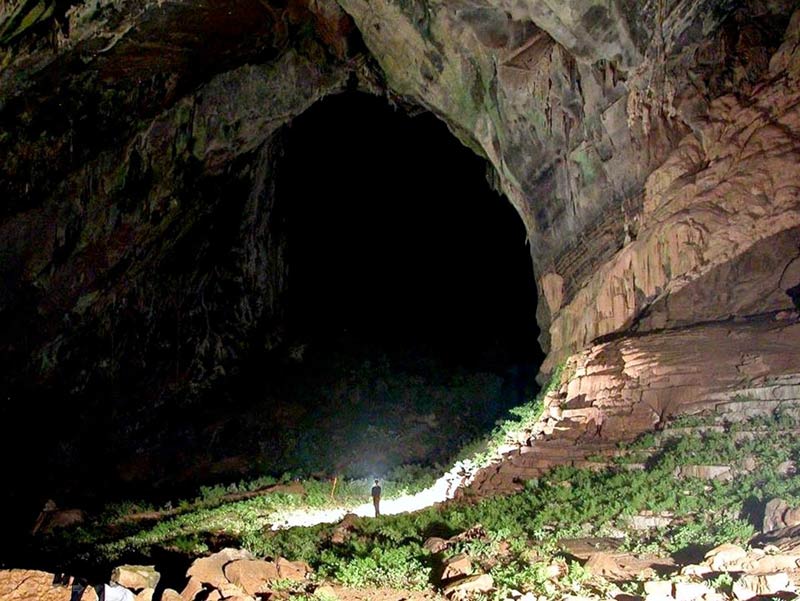 Picture 8 of 8 interesting facts about Son Doong cave