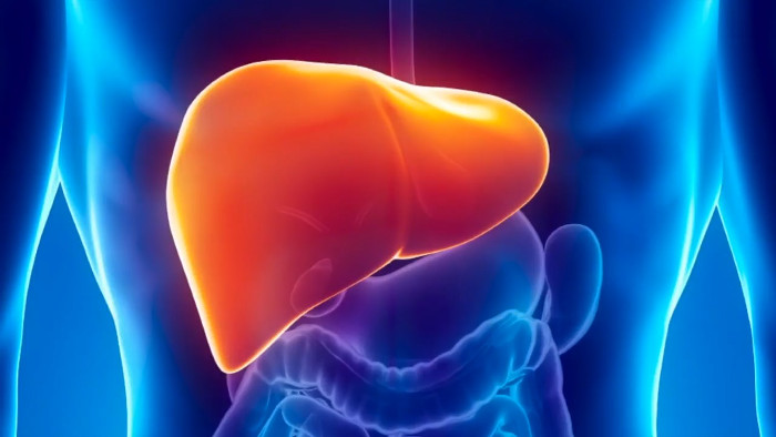 Picture 1 of 8 million Vietnamese people will get hepatitis B by 2020