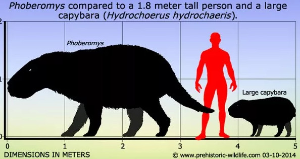 Picture 5 of 8 'monsters' we should thank heaven and earth for their disappearance
