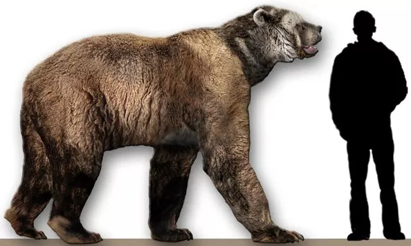 Picture 6 of 8 'monsters' we should thank heaven and earth for their disappearance