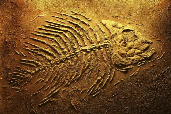 Picture 7 of 8 'monsters' we should thank heaven and earth for their disappearance