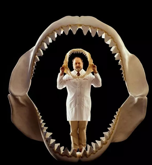 Picture 9 of 8 'monsters' we should thank heaven and earth for their disappearance