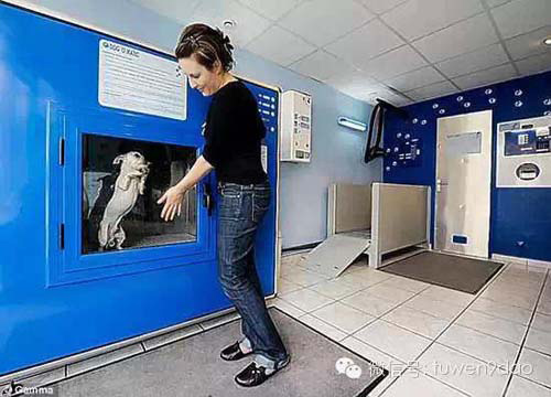 Picture 1 of 8 quirky inventions around the world