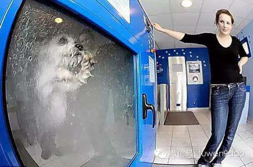 Picture 2 of 8 quirky inventions around the world