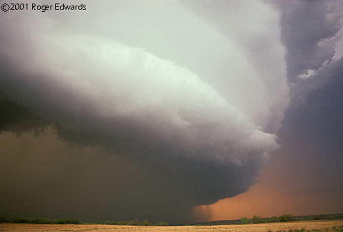 Picture 18 of 8 rare natural phenomena