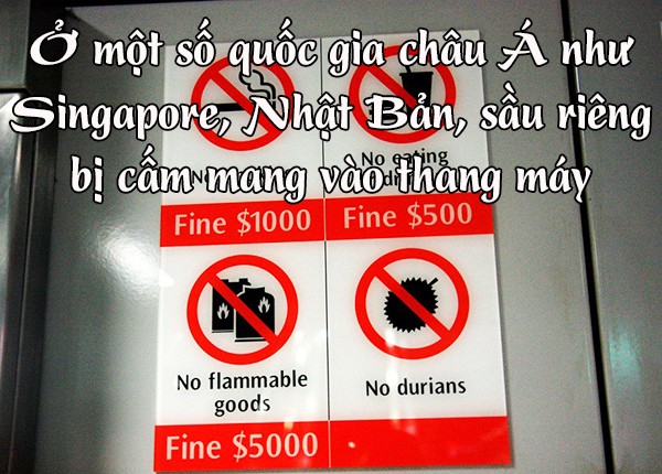 Picture 4 of 8 surprises about durian fruit not everyone knows