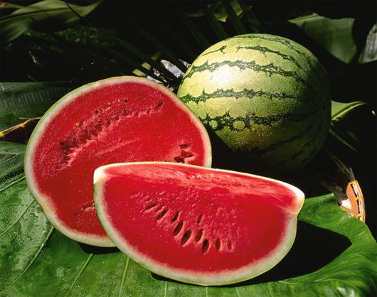 Picture 1 of 8 types of summer vegetables should be included in your daily menu