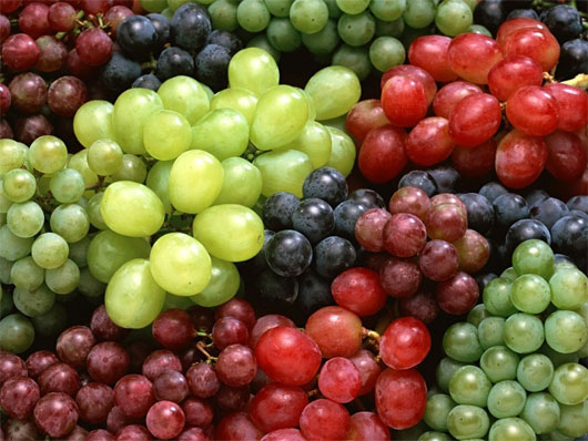 Picture 3 of 8 types of summer vegetables should be included in your daily menu