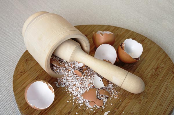 Picture 3 of 8 unexpected effects of eggshell