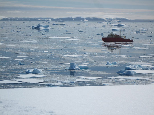 Picture 5 of 8 unknown consequences of climate change