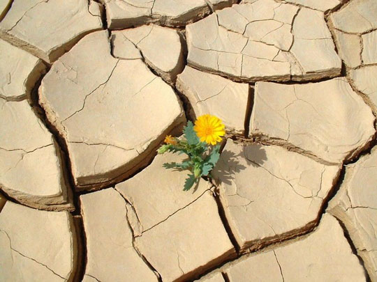 Picture 6 of 8 unknown consequences of climate change