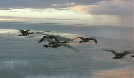 Picture 7 of 8 unknown consequences of climate change