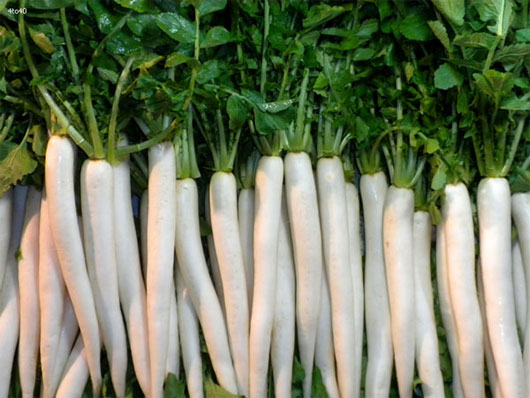 Picture 3 of 8 useful foods in the winter